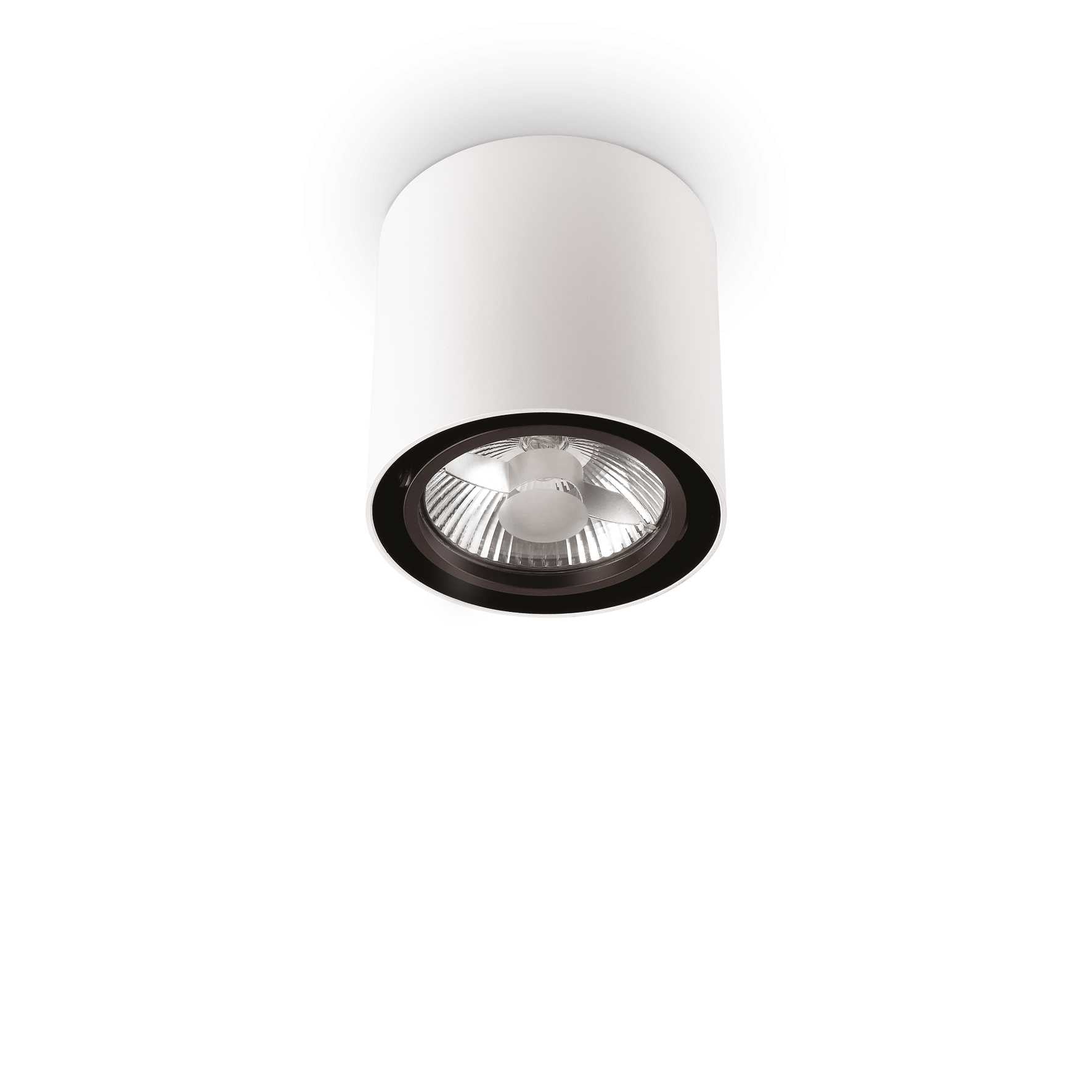 Mood 1Lt  Round Spotlight IP20 - Black/White