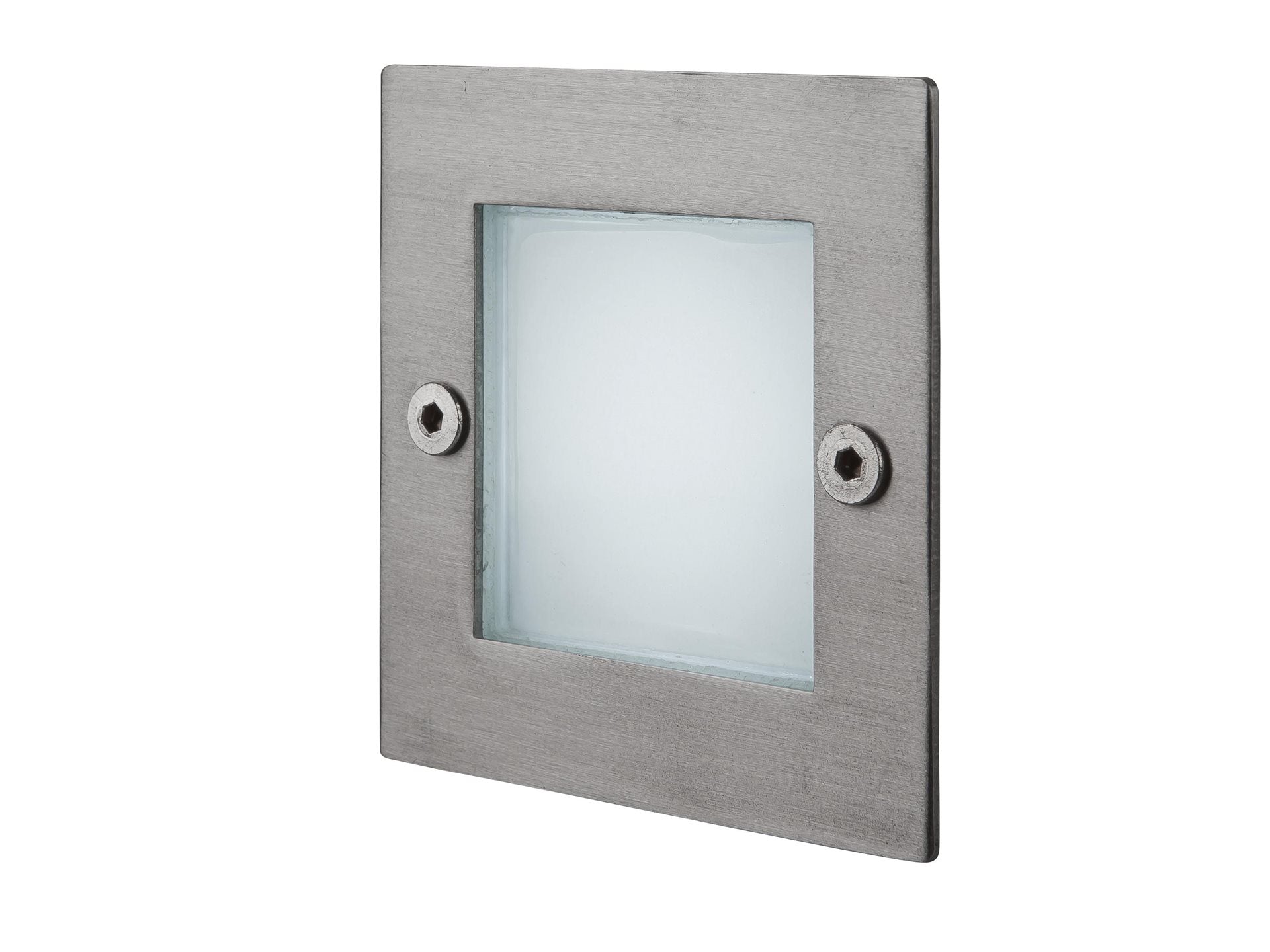 Aven LED Wall & Step Light- Stainless Steel
