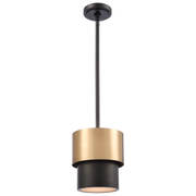 Coburg 1Lt Single Pendant - Brass Finish