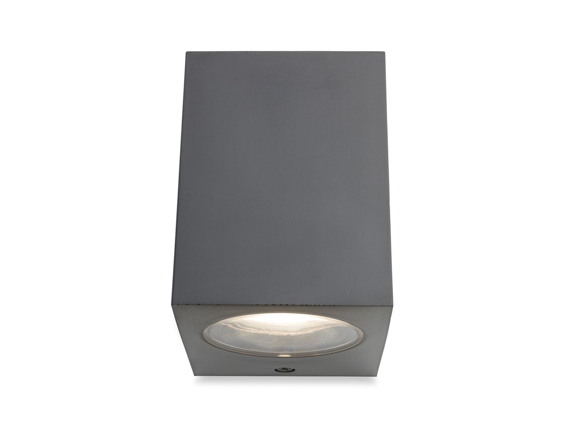 Hawk Wall Light- Graphite Finish