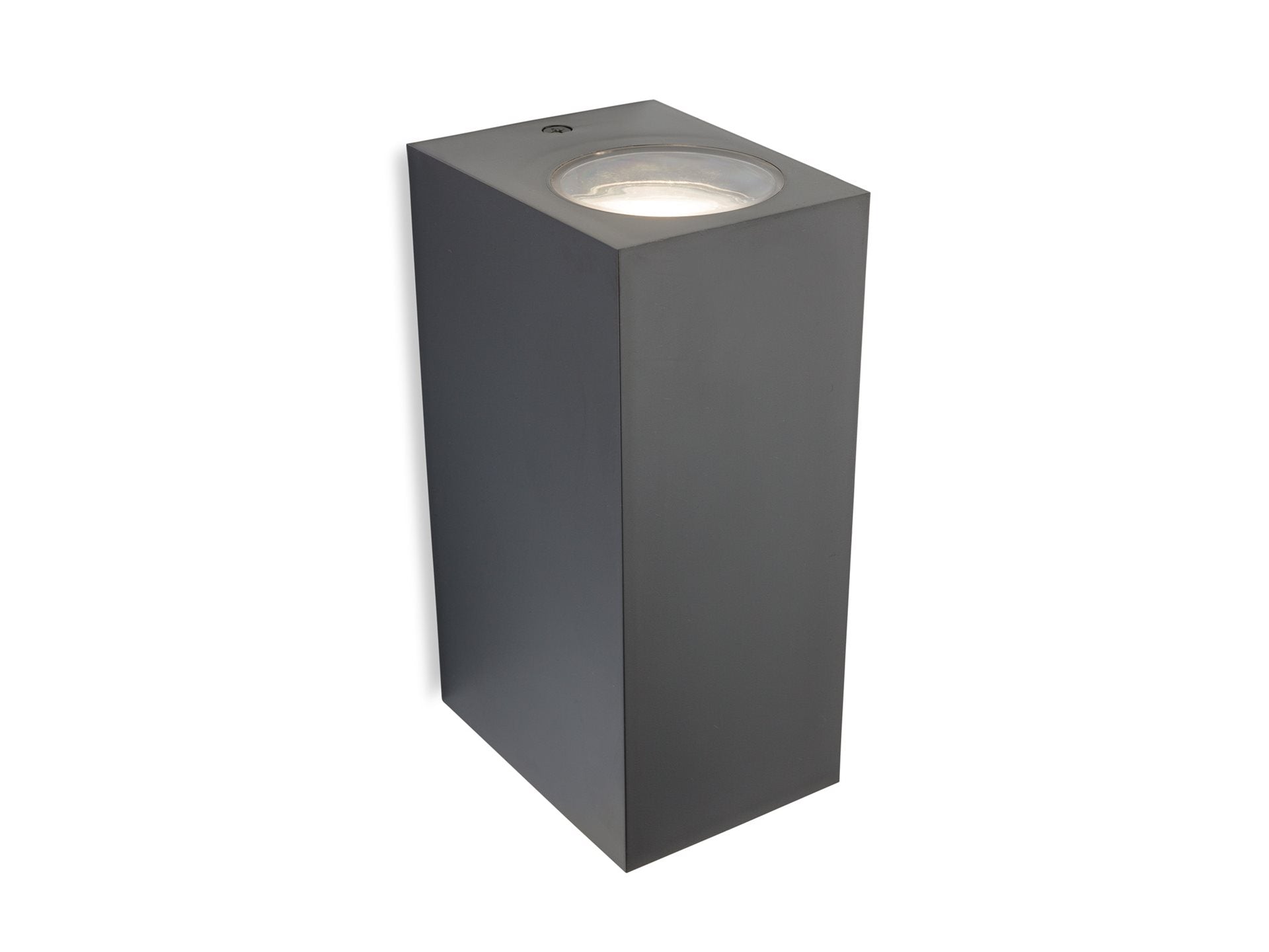 Hawk Wall Light- Graphite Finish