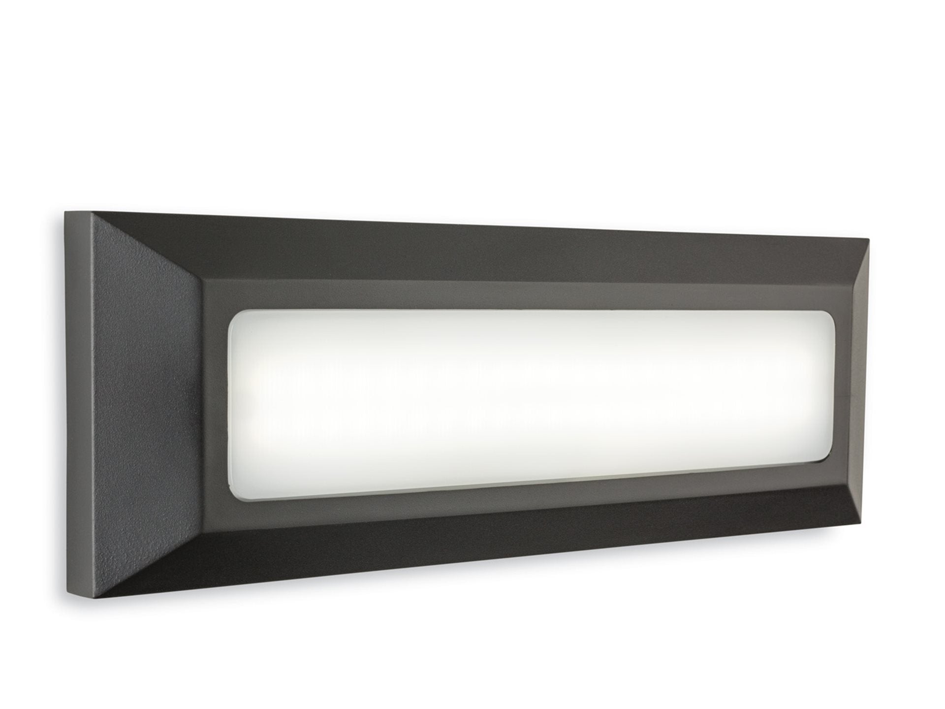 Shine LED Wall & Step Light