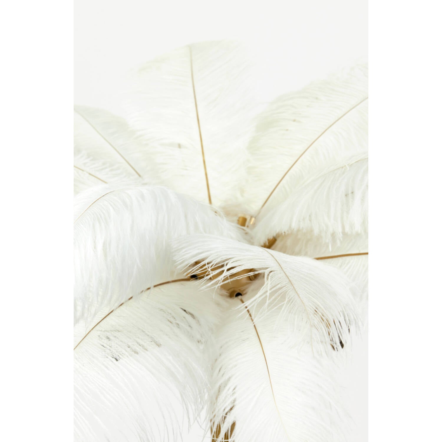 Feather Table Lamp