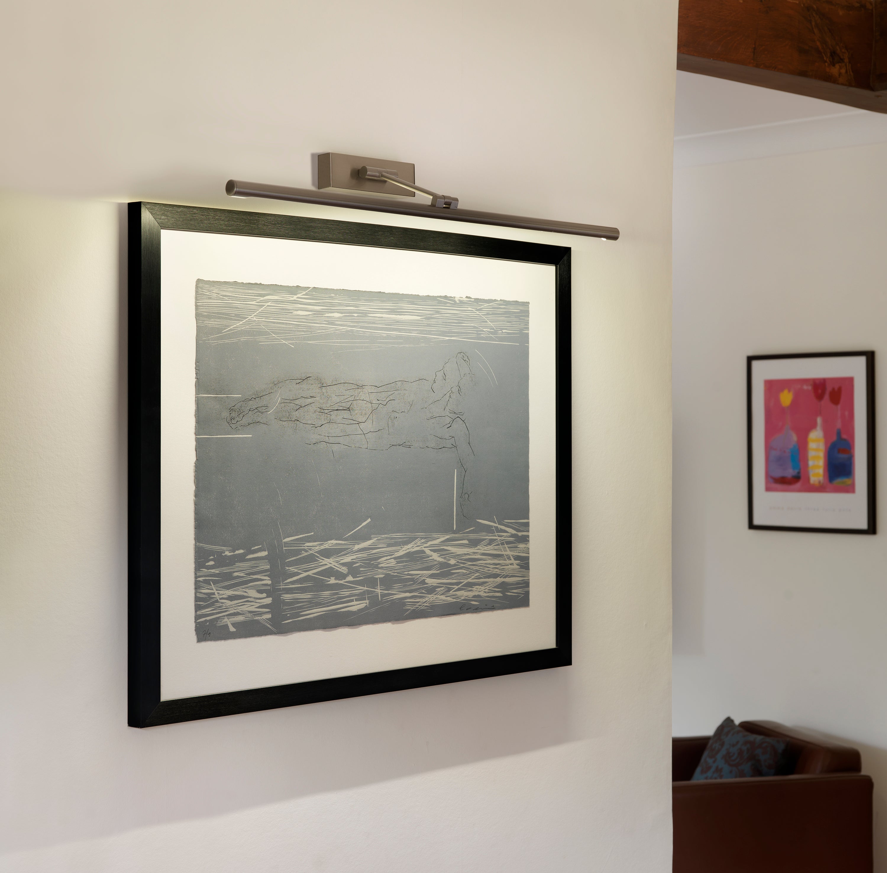 Goya 460/760 LED Picture Lights- Various Colors