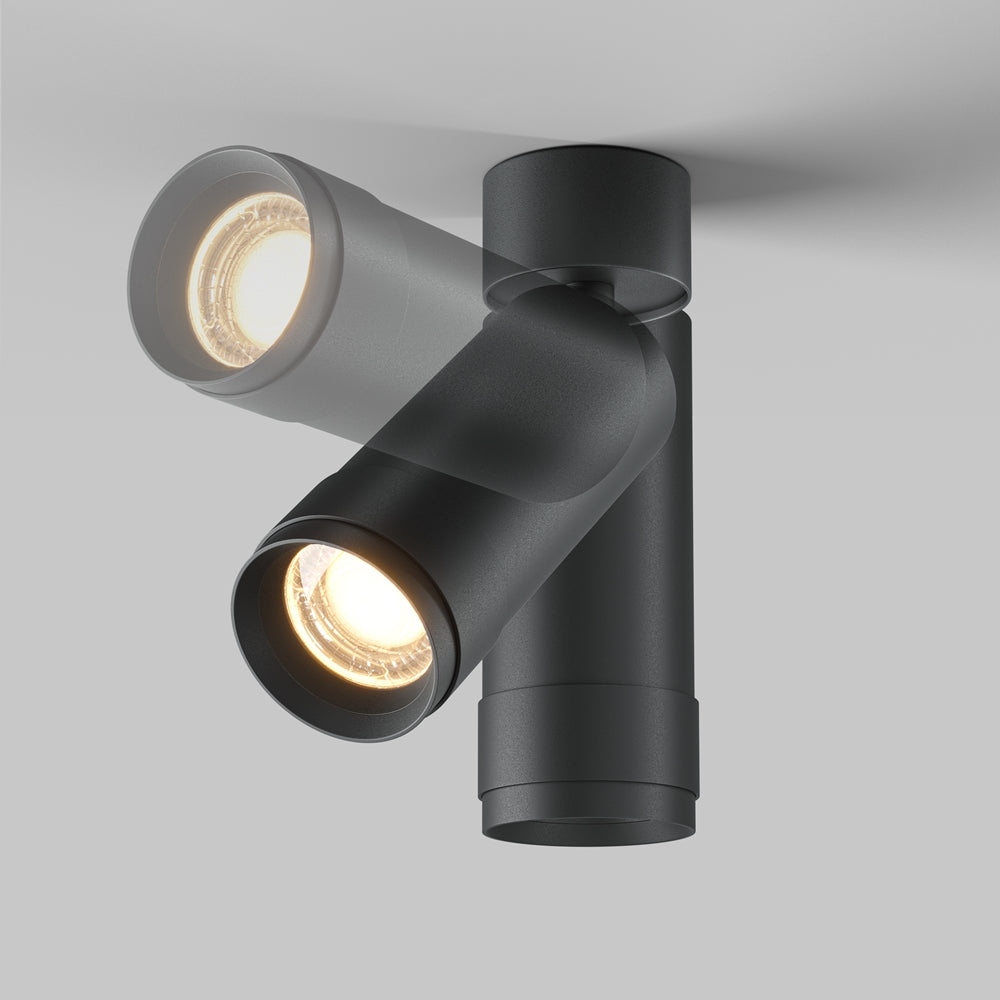 Zoom Focus Ceiling Light- Black & White Finishes