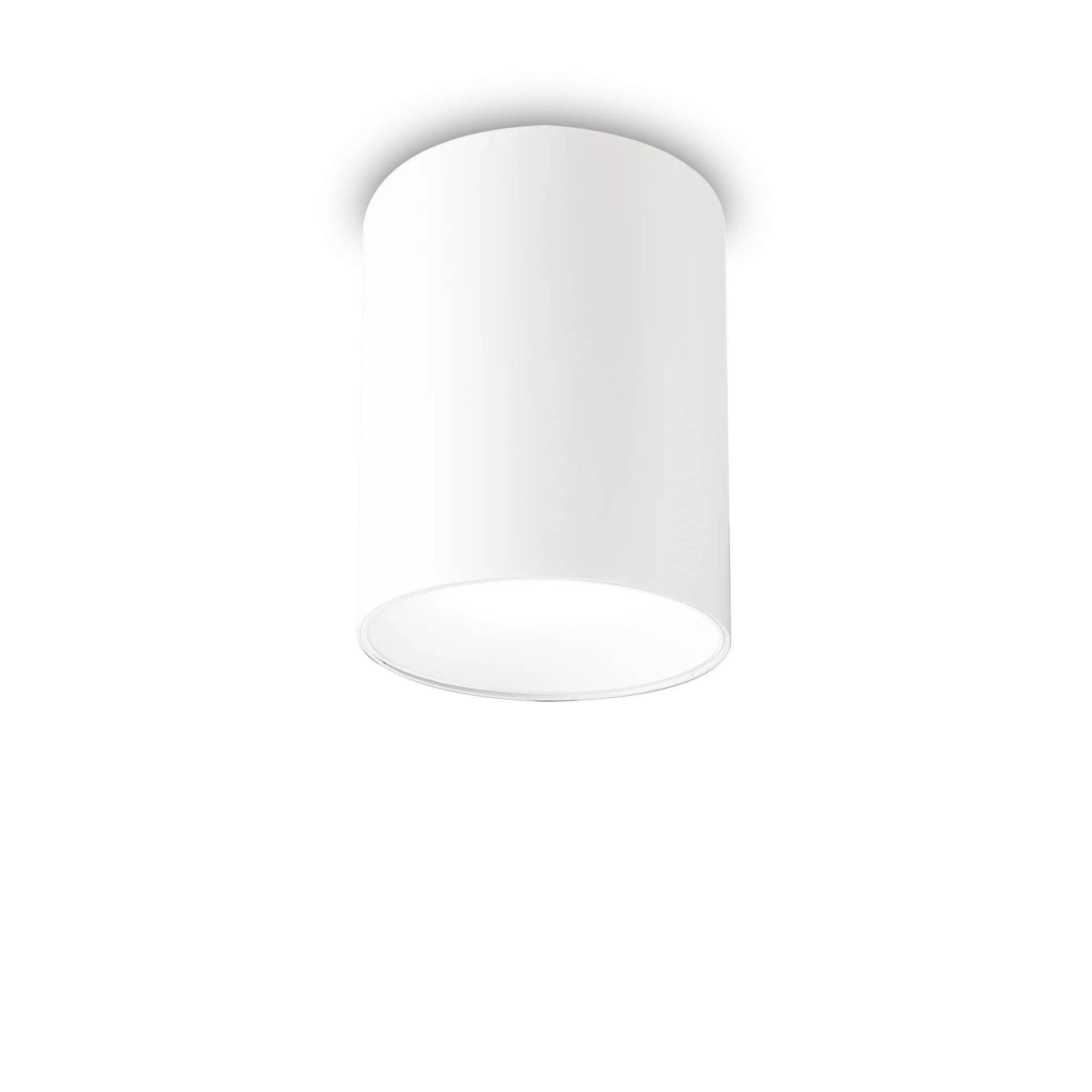 Nitro 1Lt Small/Large Round Spotlight IP20  - Black/White