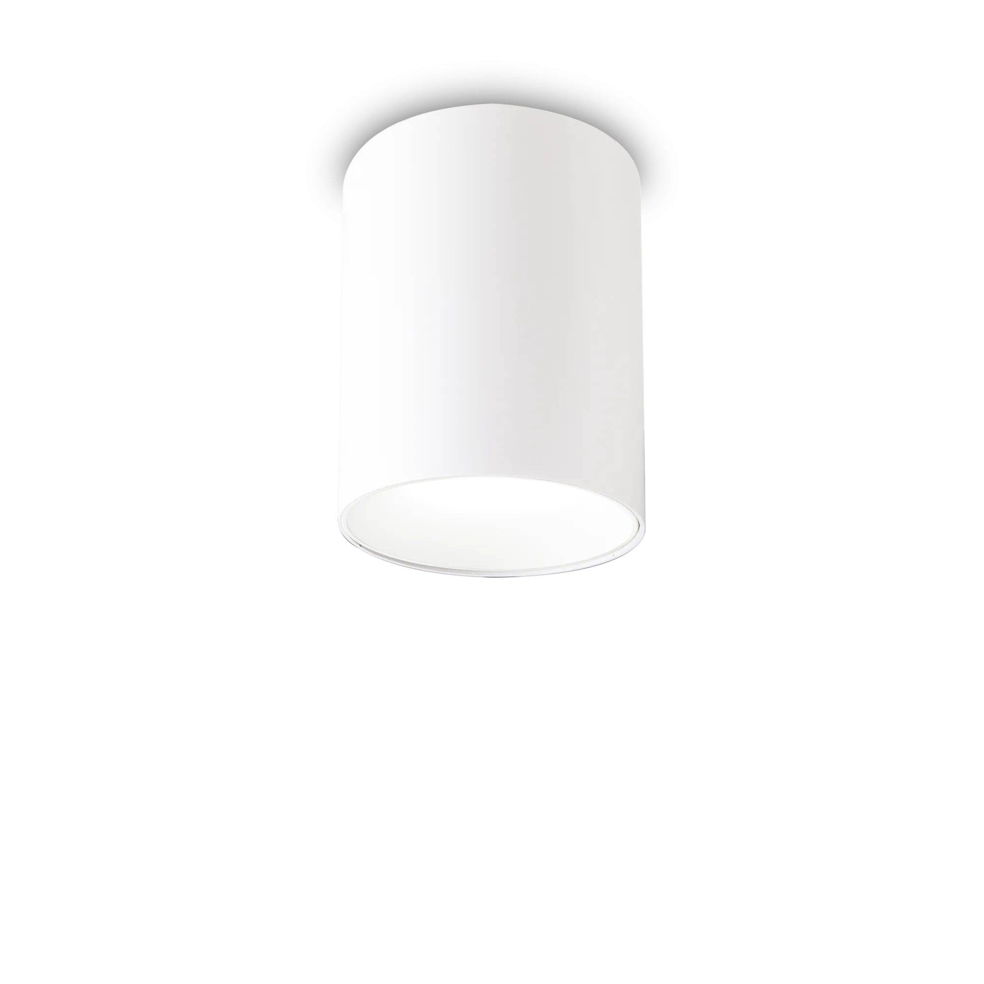 Nitro 1Lt Small/Large Round Spotlight IP20  - Black/White