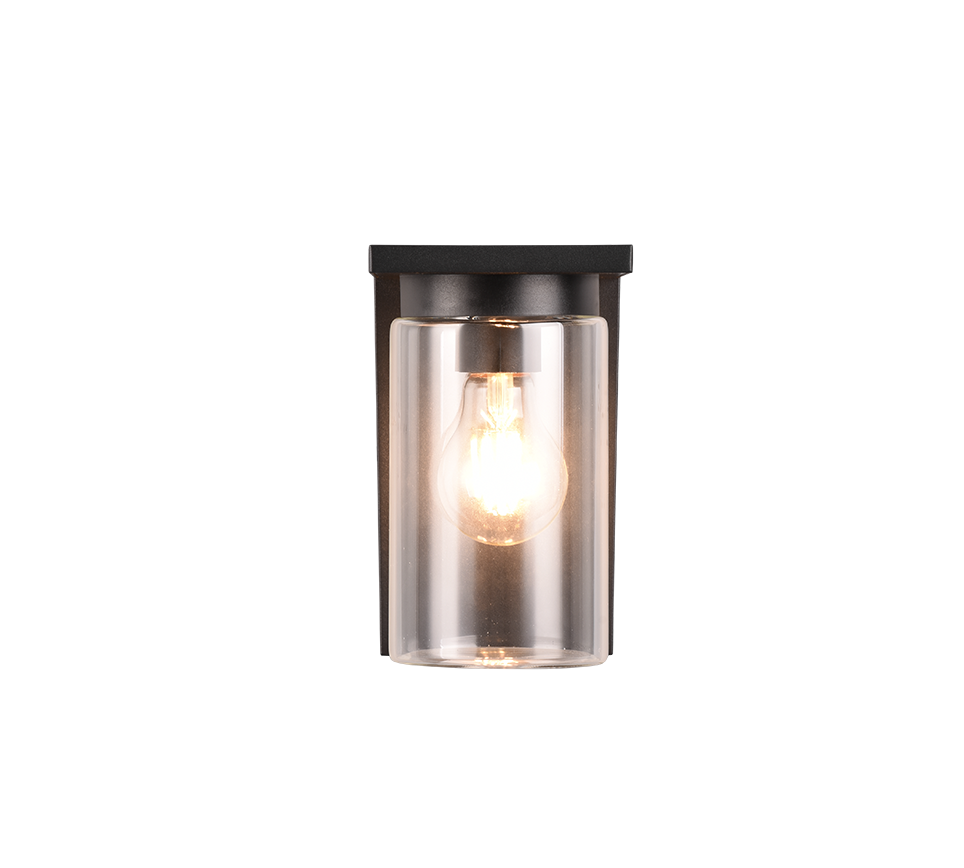 Ardila Outdoor Wall Light- Black/ Wood Finish