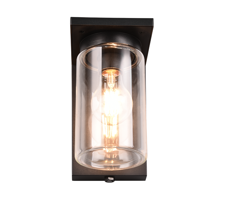 Ardila Outdoor Wall Light- Black/ Wood Finish
