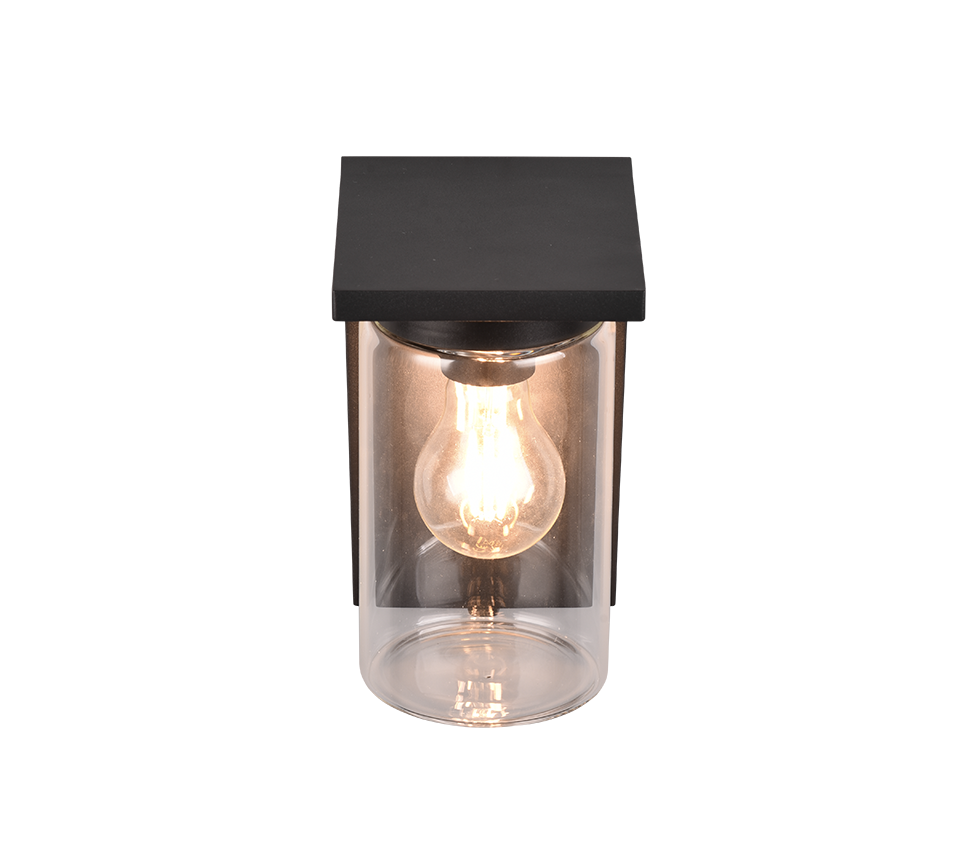 Ardila Outdoor Wall Light- Black/ Wood Finish