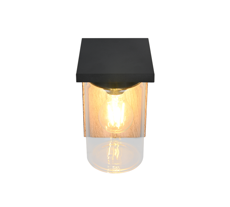 Ardila Outdoor Wall Light- Black/ Wood Finish