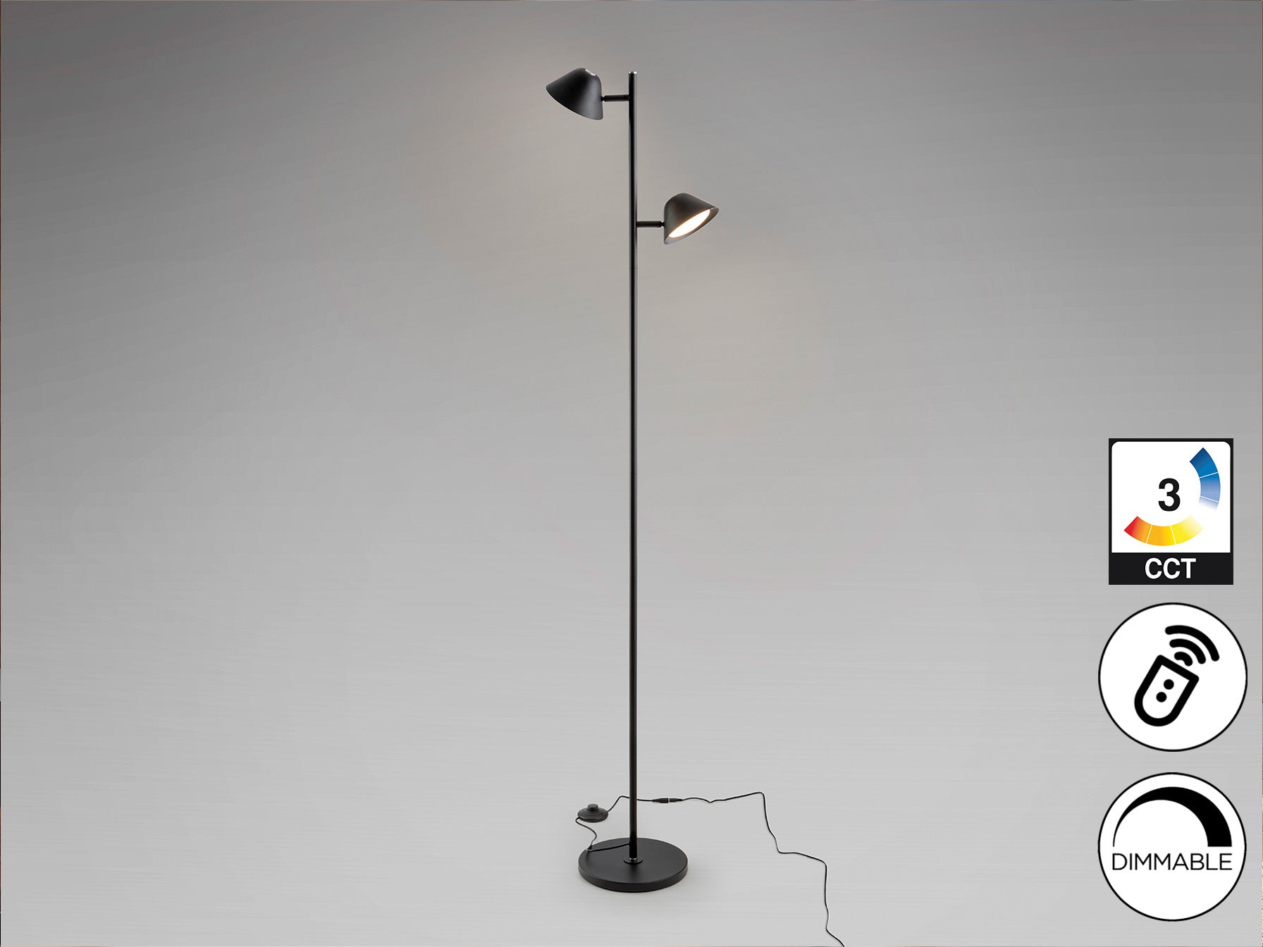 Taros 2Lt Floor Lamp- Black/ White Finish