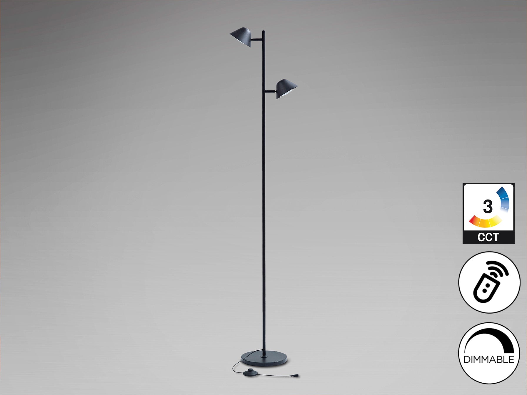 Taros 2Lt Floor Lamp- Black/ White Finish