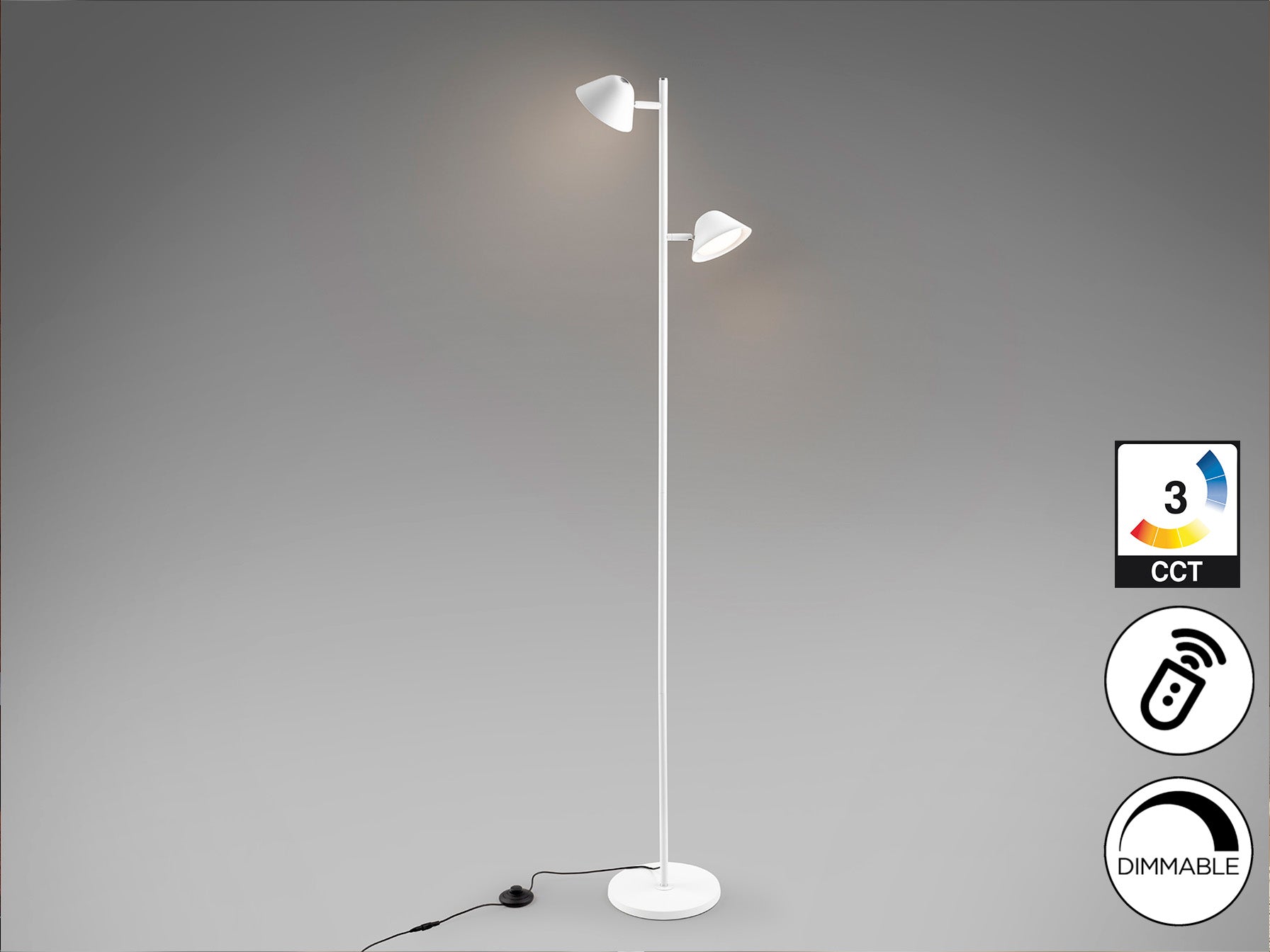 Taros 2Lt Floor Lamp- Black/ White Finish