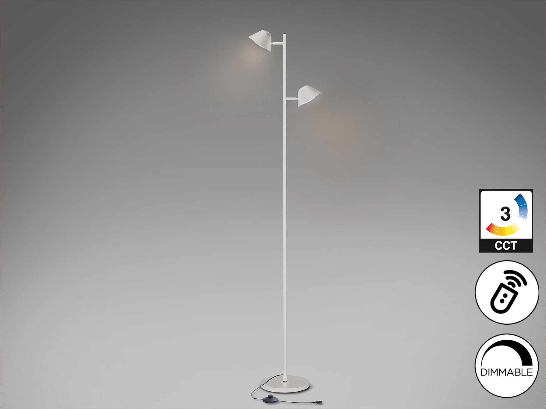 Taros 2Lt Floor Lamp- Black/ White Finish