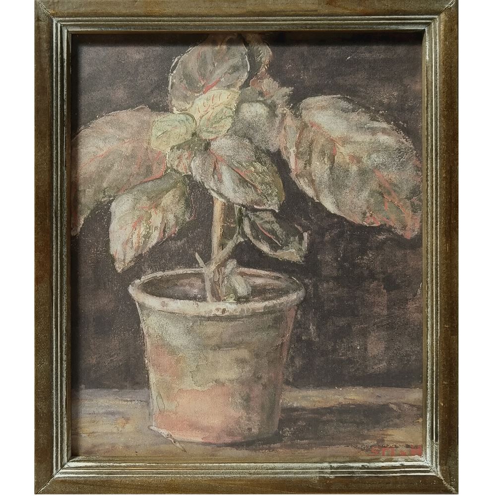 Potted Plant Framed Picture
