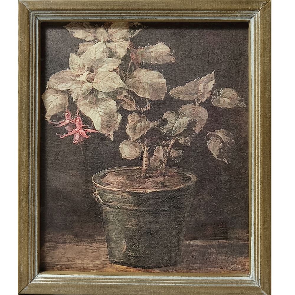 Potted Plant Framed Picture