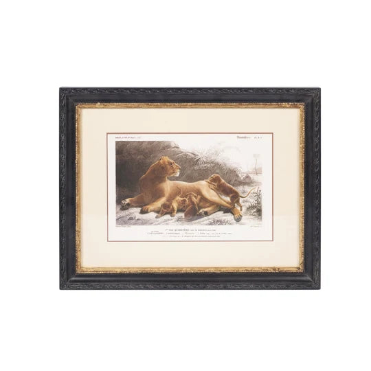 Lion Print