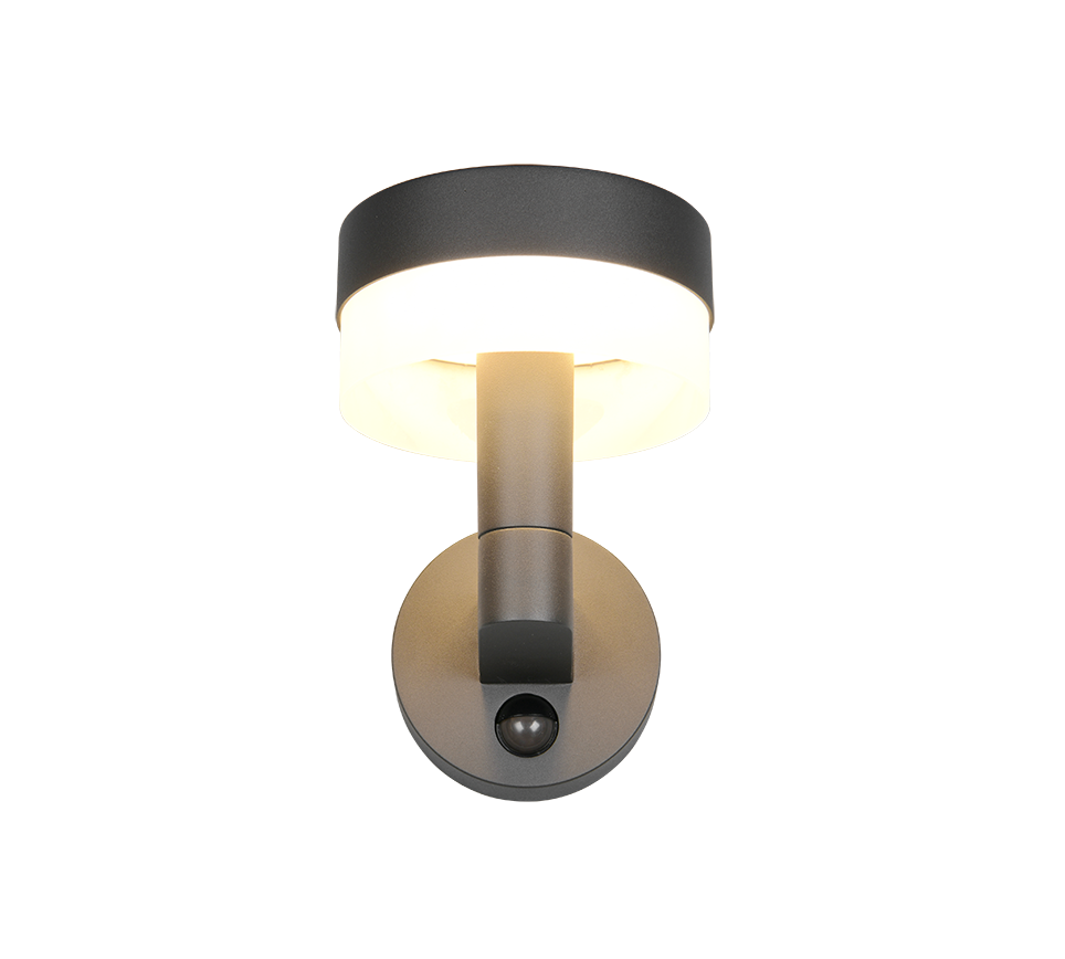 Mackenzie Motion Sensor Outdoor Wall Light