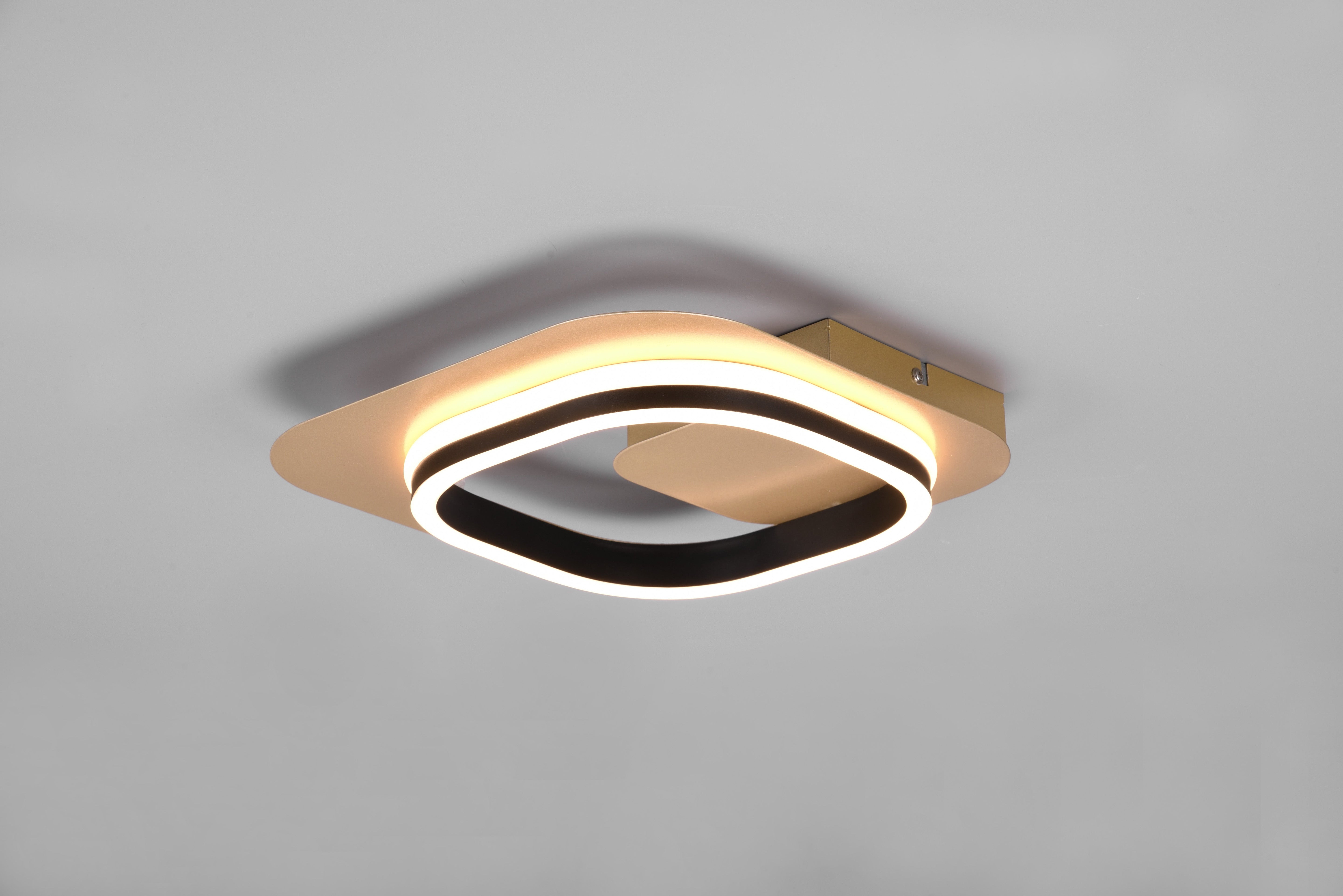 Lugo LED Wall Light - Black & Gold
