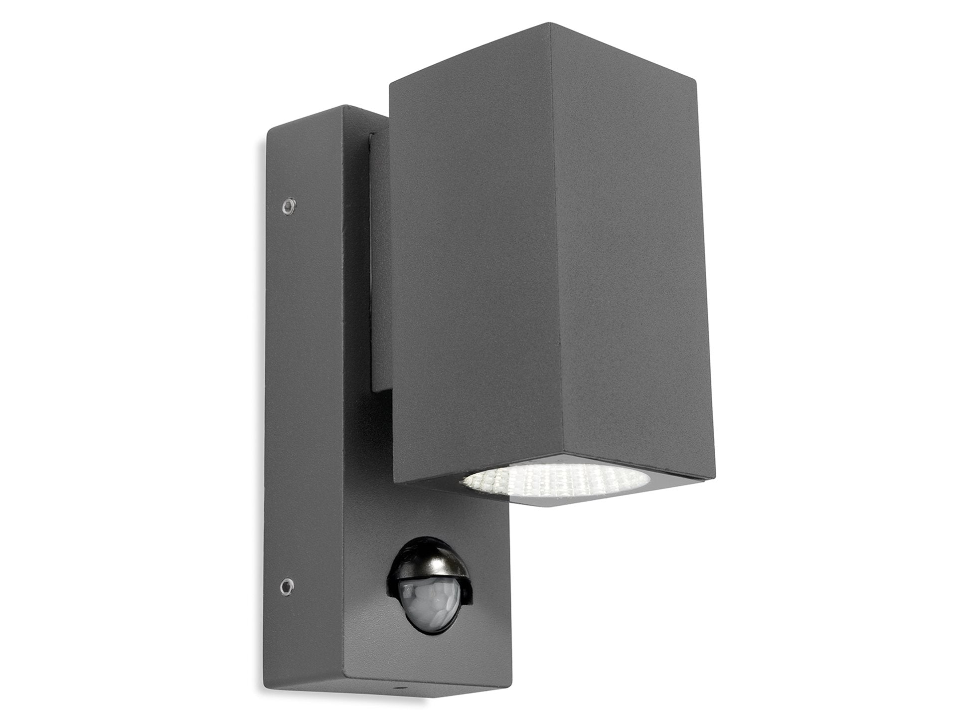 Dino LED Wall Light with PIR- Graphite