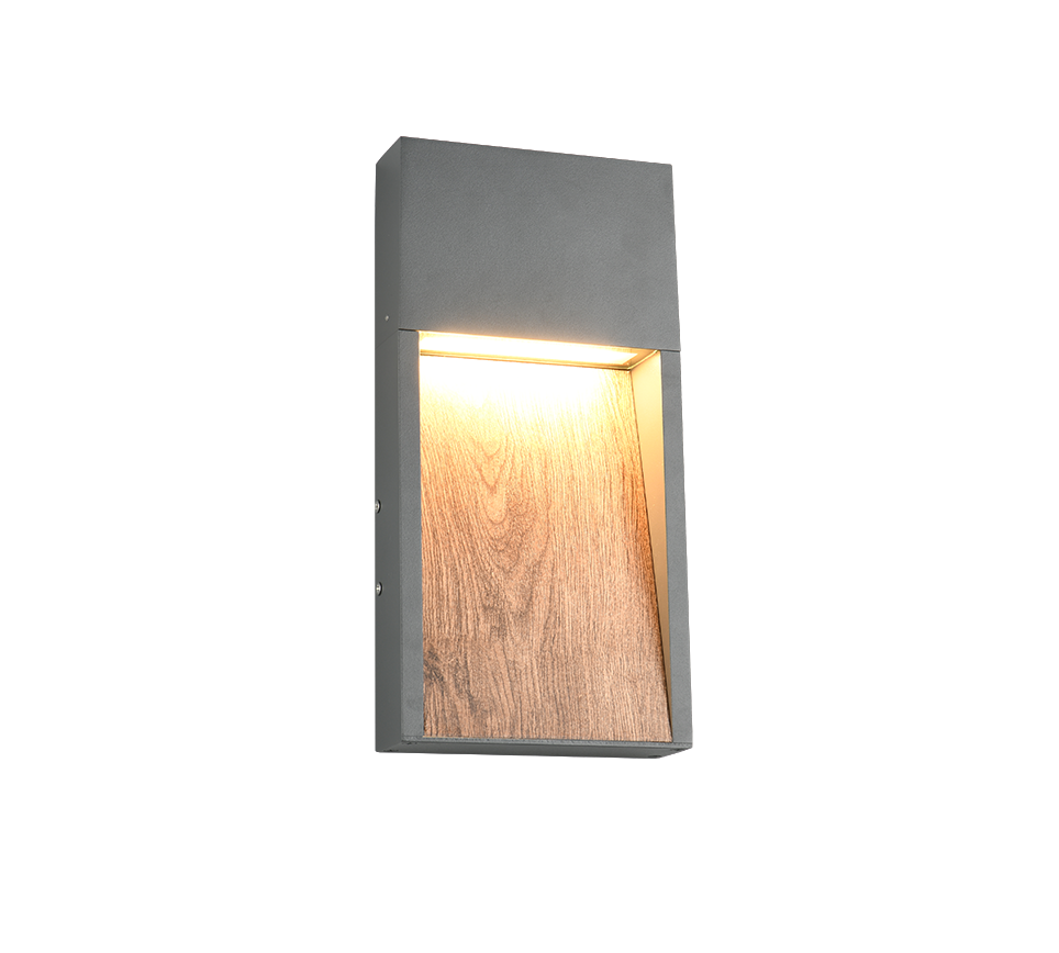 Salmon LED Outdoor Wall Light