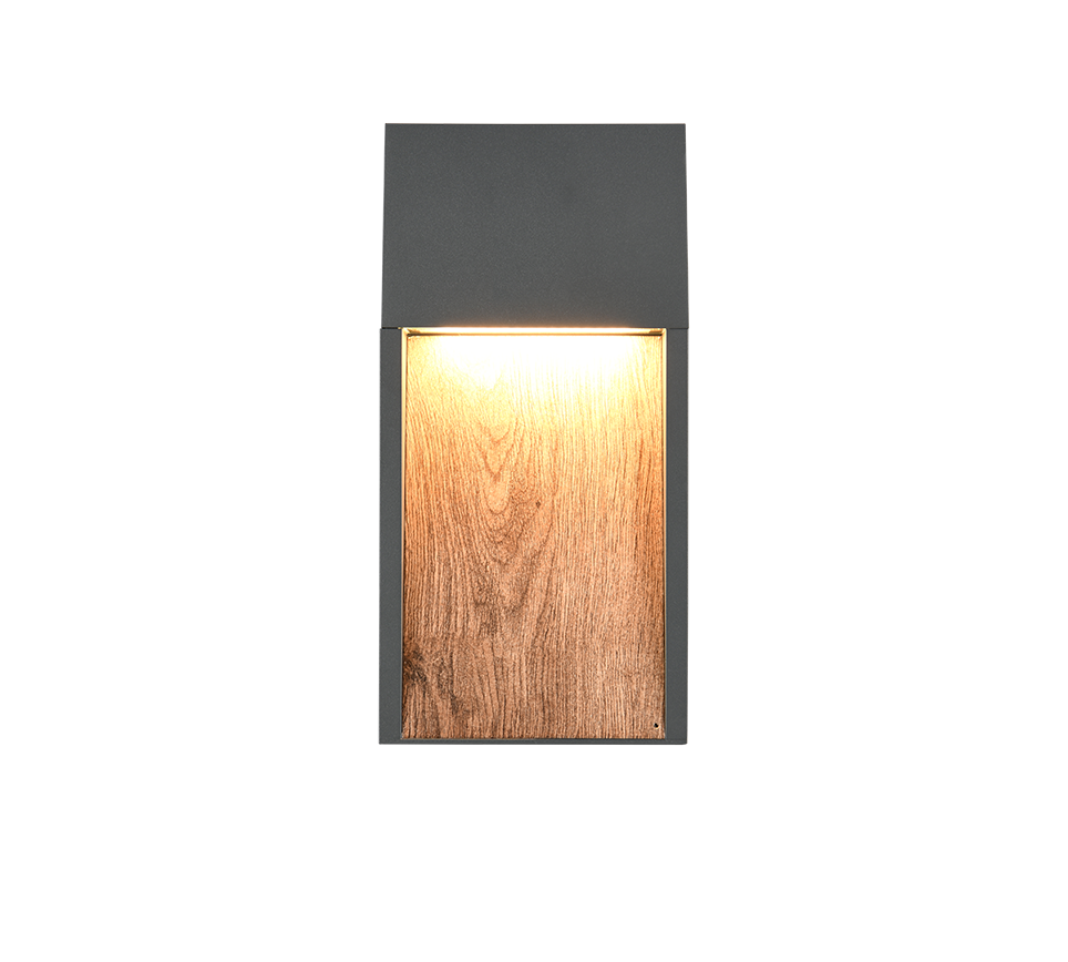 Salmon LED Outdoor Wall Light