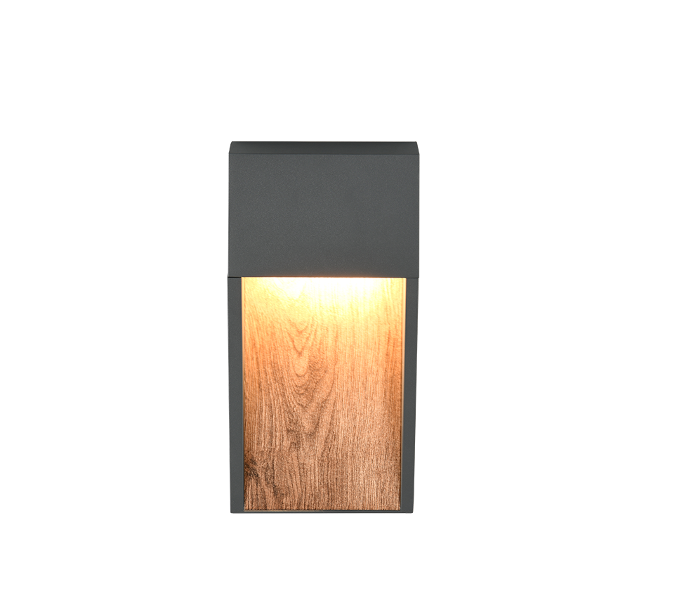 Salmon LED Outdoor Wall Light