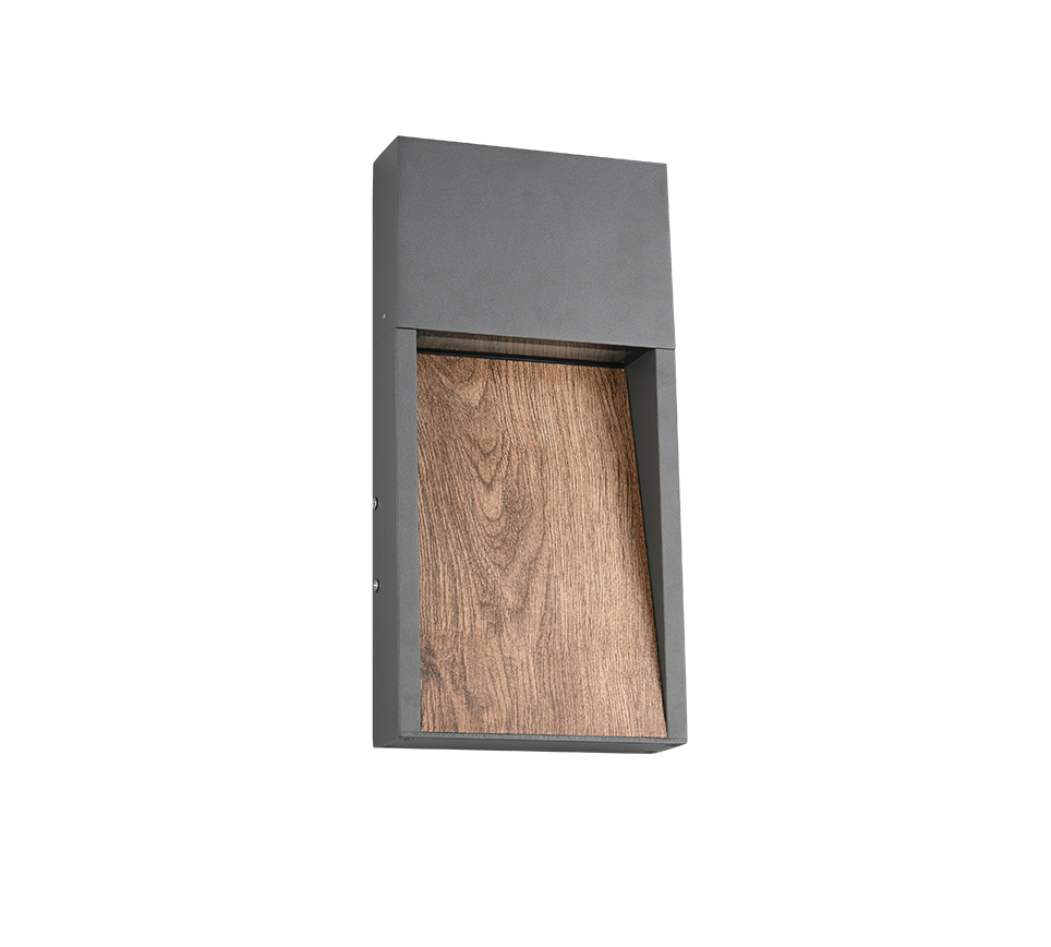 Salmon LED Outdoor Wall Light