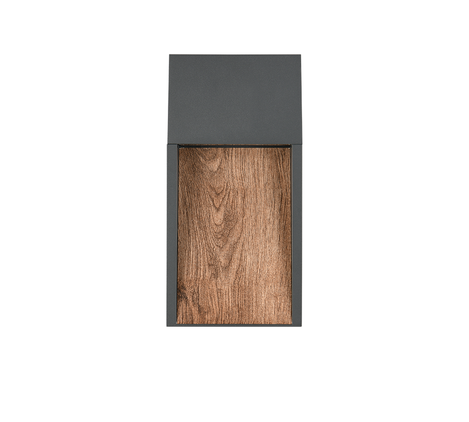 Salmon LED Outdoor Wall Light