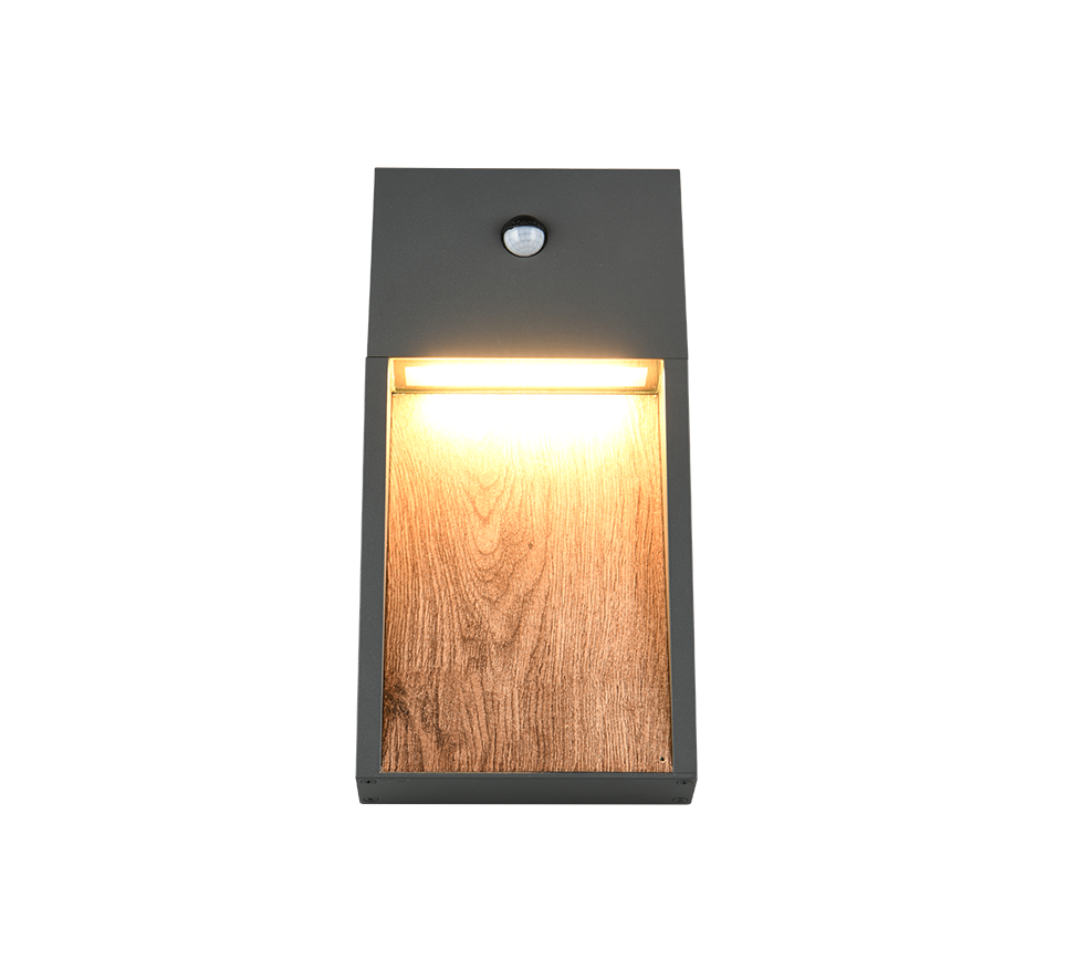 Salmon Motion Sensor Outdoor Wall Light