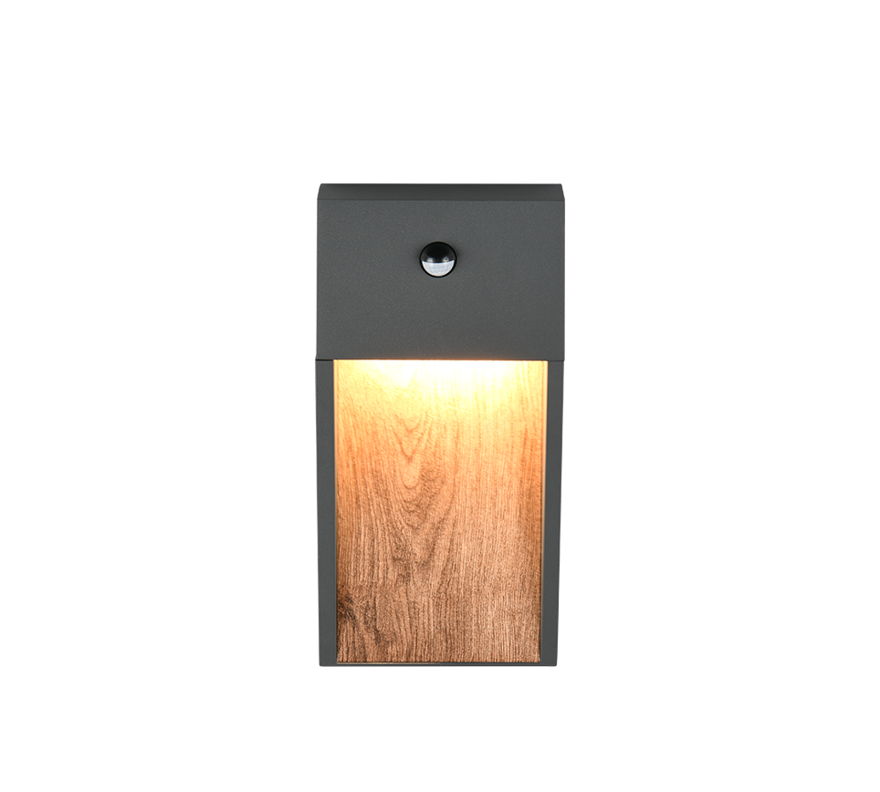 Salmon Motion Sensor Outdoor Wall Light