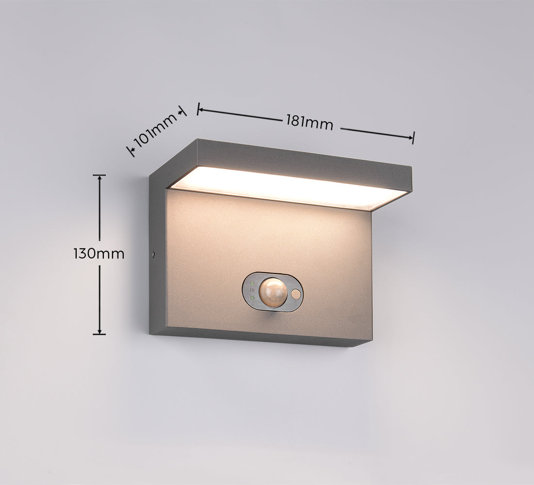 Blyde Wall Light