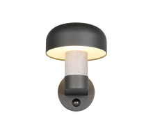 Fraser IP54 Outdoor Wall Light - Various Finishes - PIR Sensor