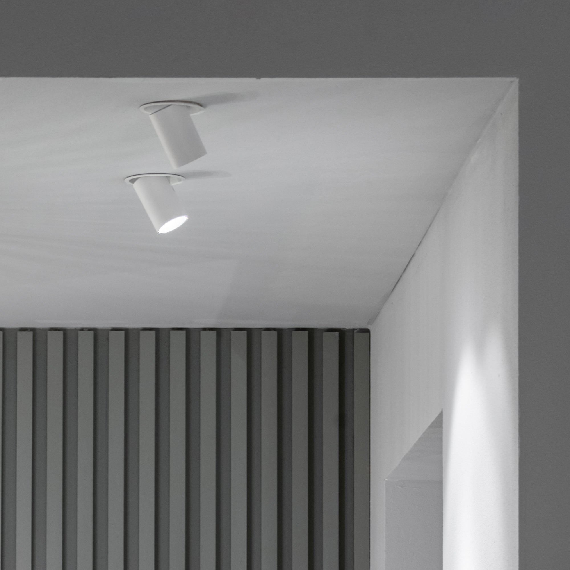 Nova 6W/12W LED Recessed Lights-Black/ White Finish