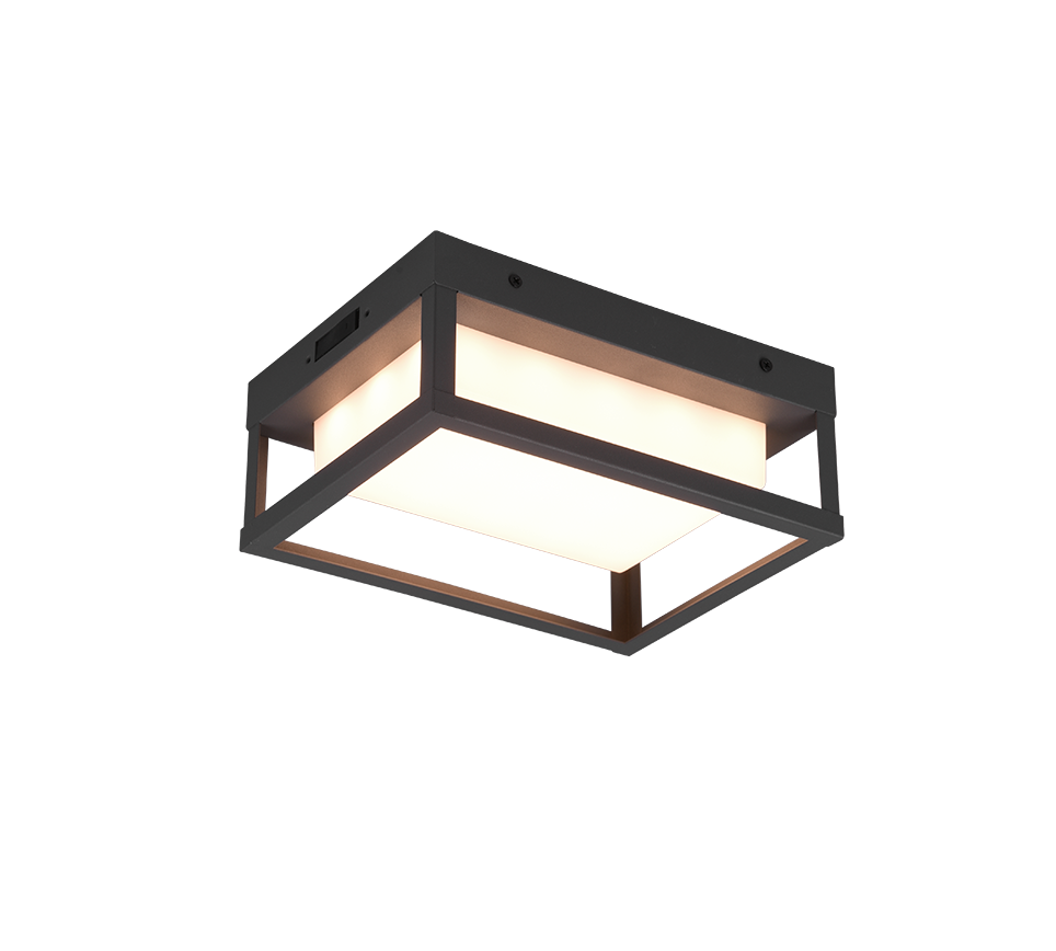 Witham Outdoor LED Flush Light