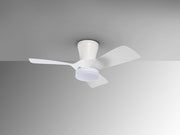Polaris Ceiling fans Ø 75 to 90 cm- White/ Black Finish