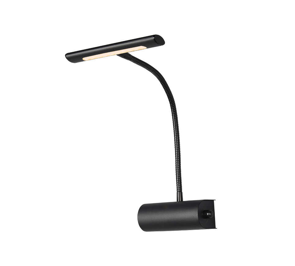 Curtis 1Lt Picture Light - Various Colours