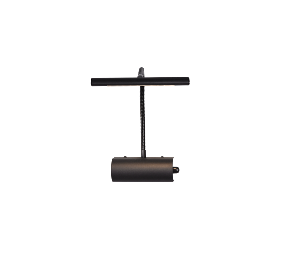 Curtis 1Lt Picture Light - Various Colours