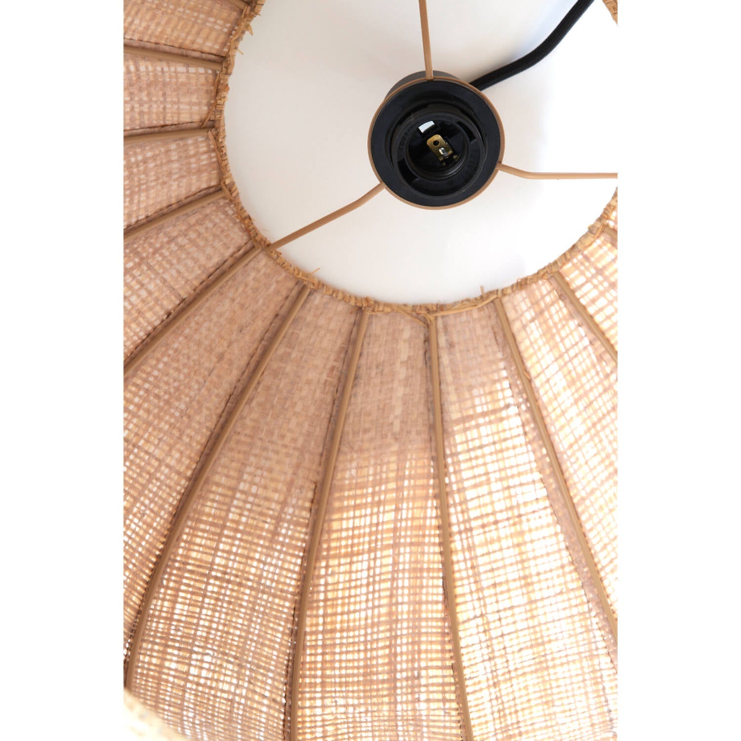 Raffaella Hanging Light