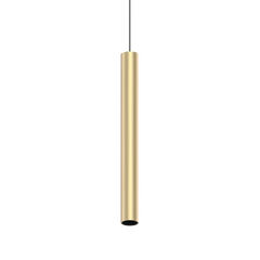 Ego Track Mount LED Light - Brass/Black
