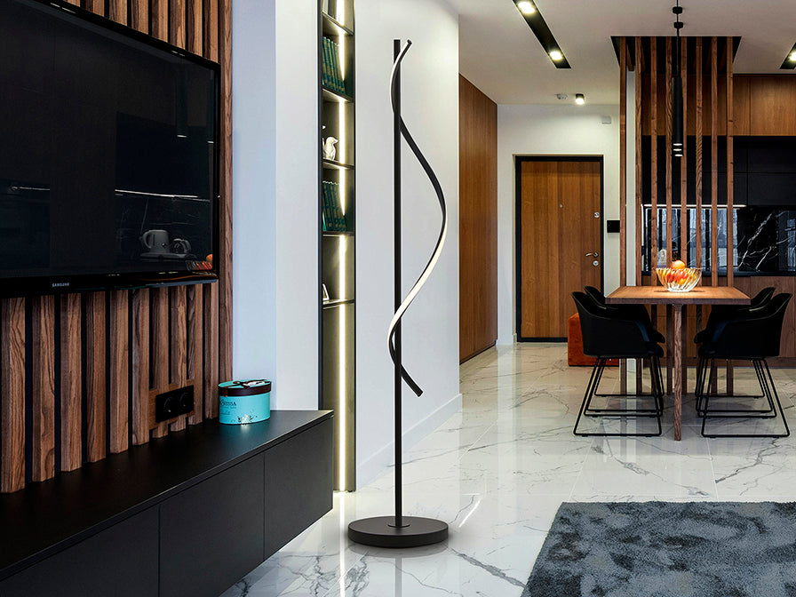 Boa LED Floor Lamp- Black Finish