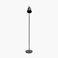 Theia Black and Brushed Brass Task Floor Lamp