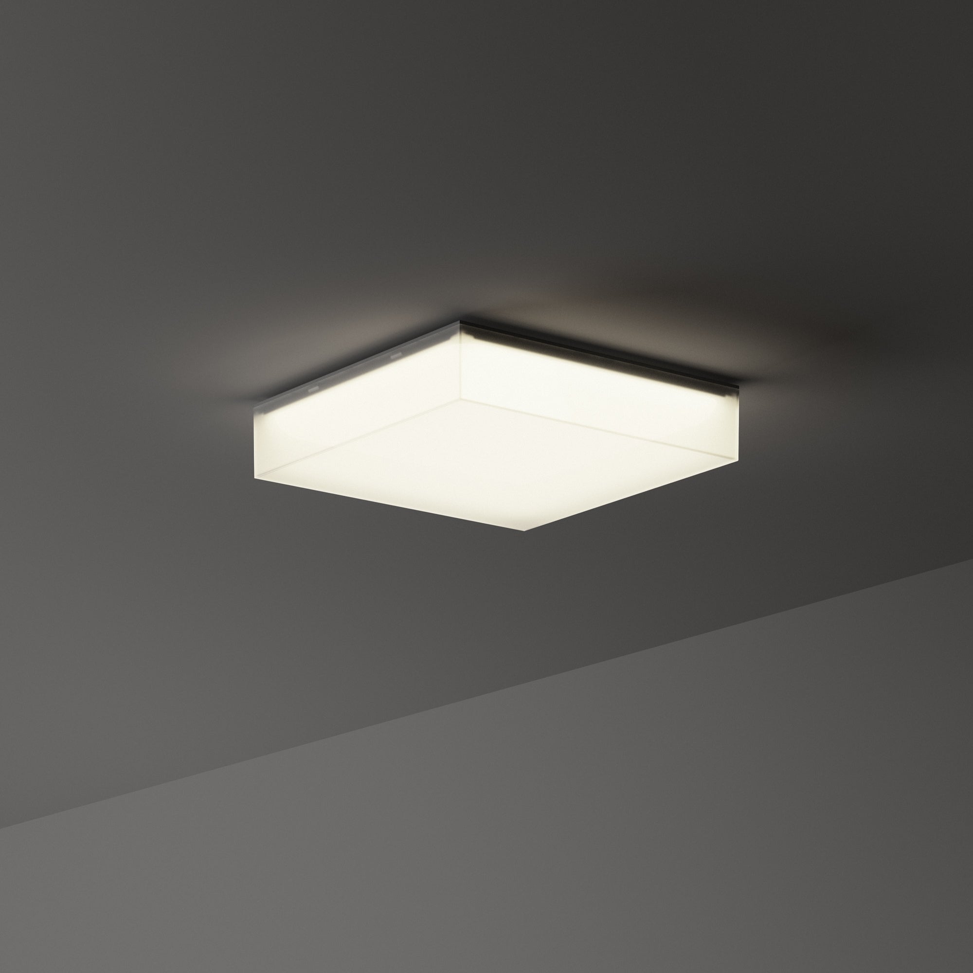 Snow Outdoor Flush Light