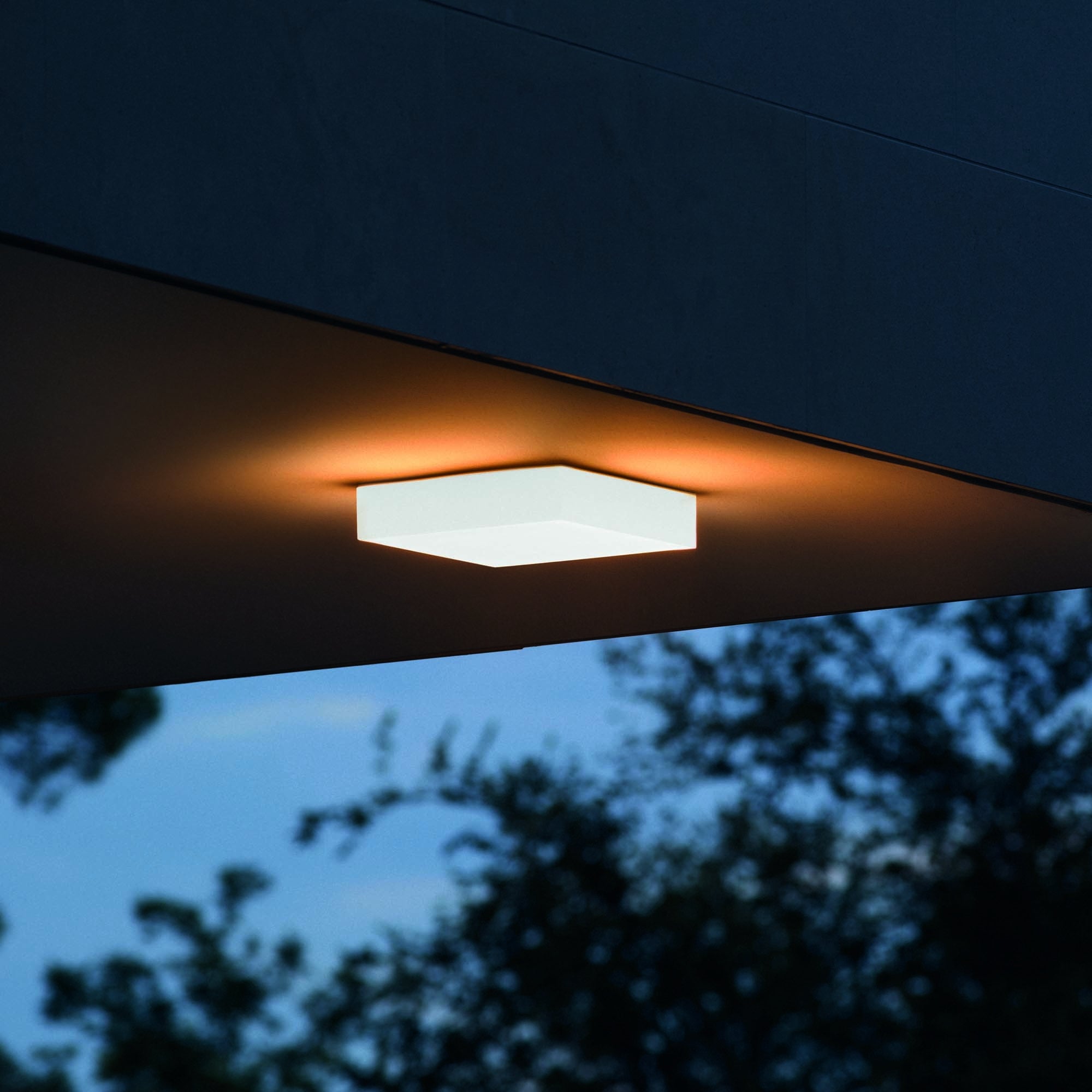 Snow Outdoor Flush Light