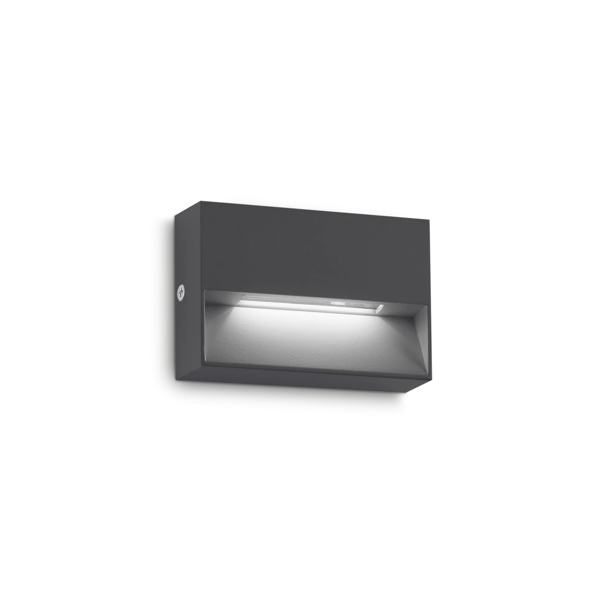 Dedra Wall Light- Anthracite/ Brown/ White Finishes
