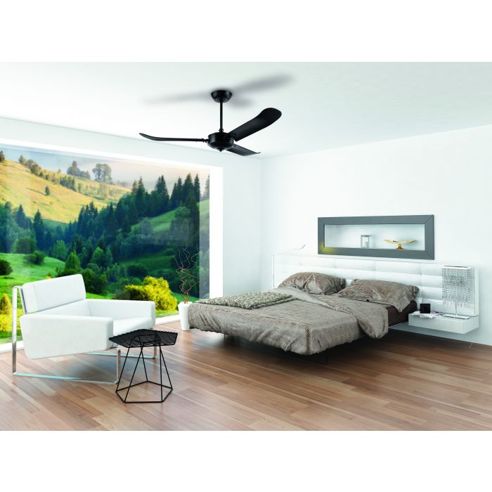 Howe Ceiling Fan- Black