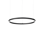 Oracle Slim LED Ceiling Light -  Black/White