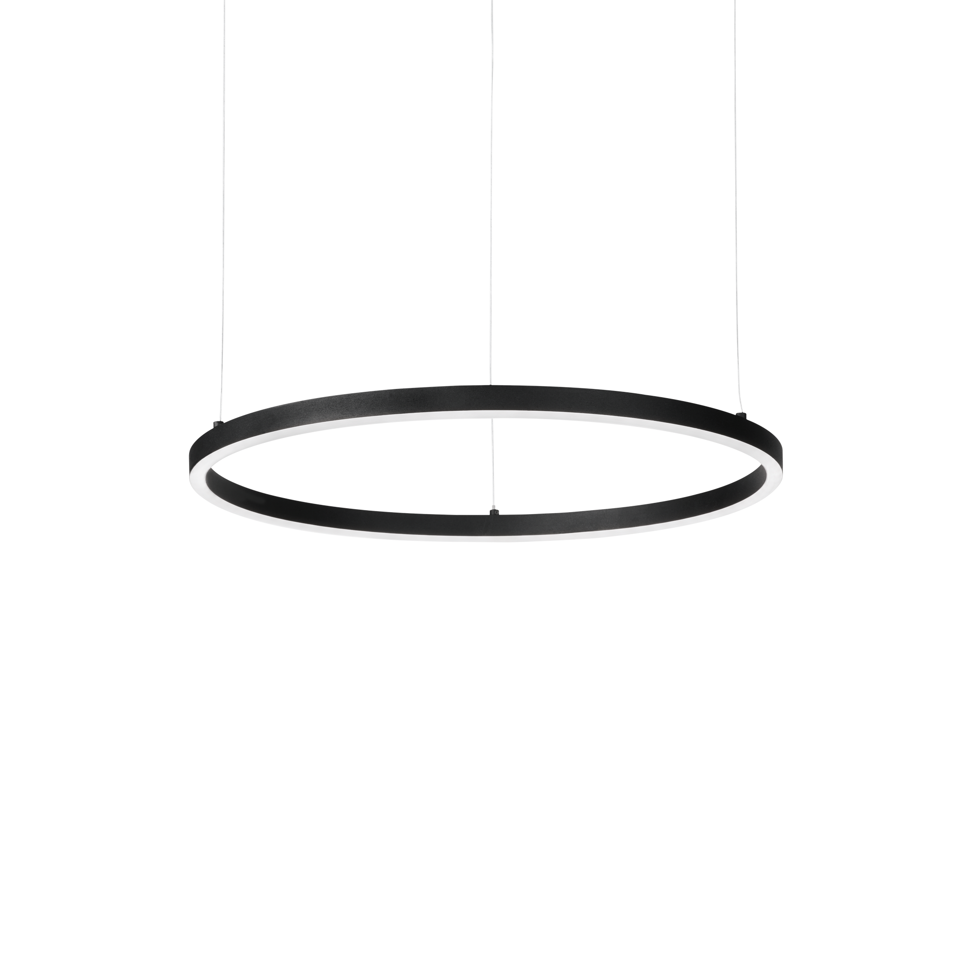 Oracle Slim LED Ceiling Light -  Black/White