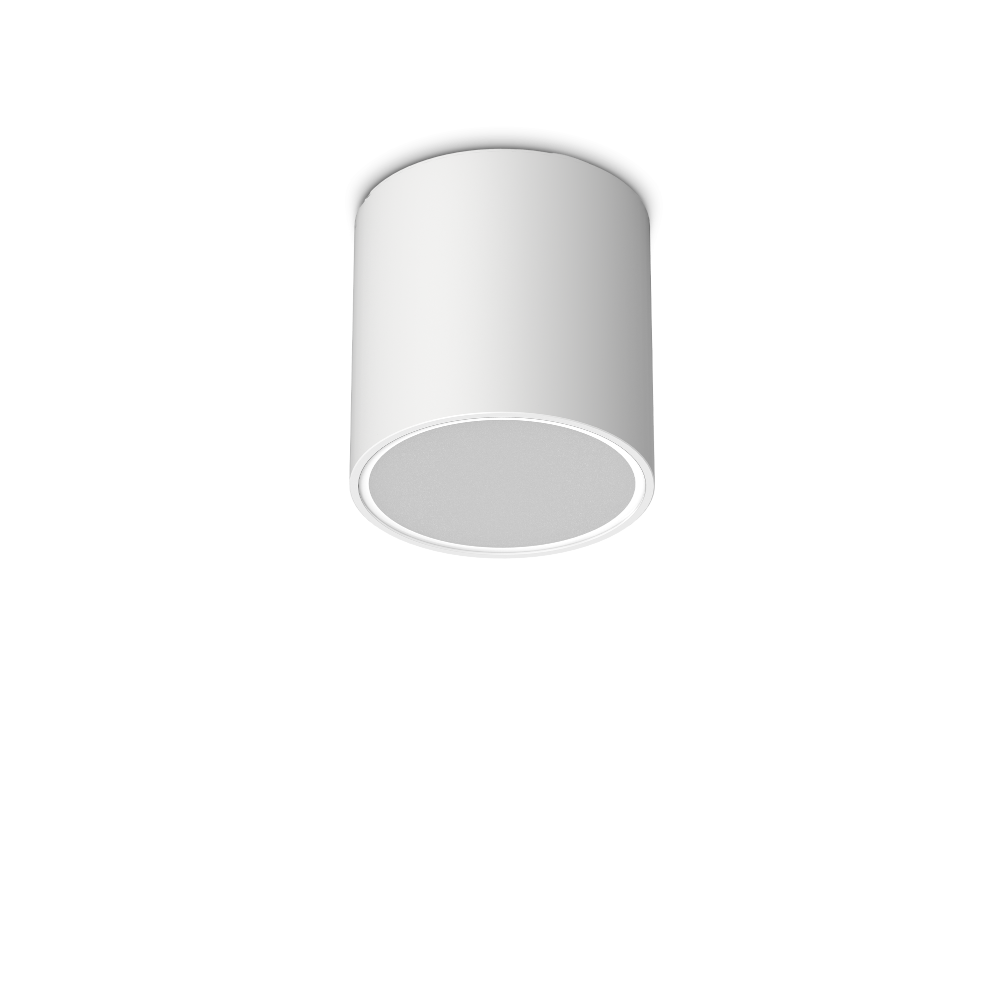 Techo Outdoor LED Spotlight - Various Colours